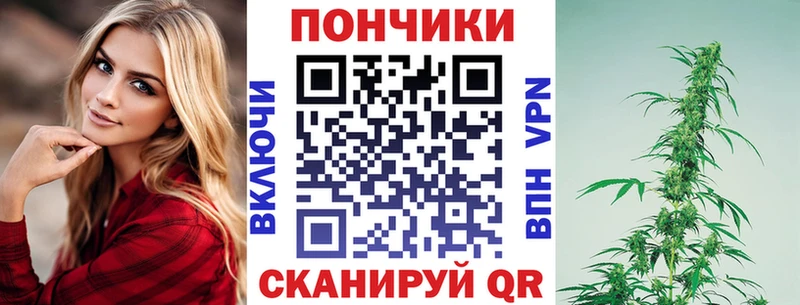 ГАШ Шилка