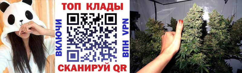 Где продают наркотики Шилка Альфа ПВП  ГАШИШ  Марихуана  Кокаин 