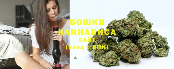 стафф Пересвет