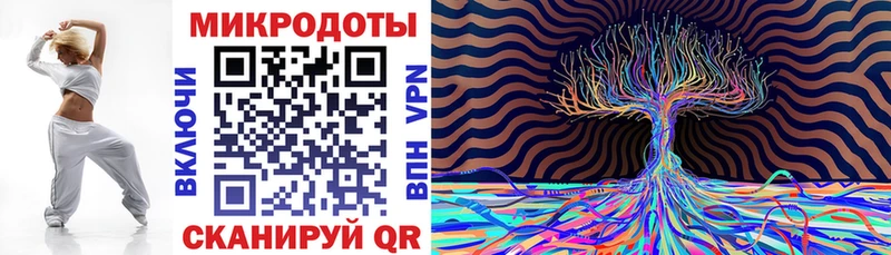 hydra ONION  купить   Шилка  Галлюциногенные грибы Psilocybe 